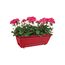 Elho Barcelona Allin1 50 - Planter - Cranberry Red - Outdoor & Balcony - L 50 x W 28.6 x H 21.4 cm