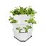 GUSTA GARDEN Paul Potato Starter Kartoffelturm - stapelbar - Hochbeet/Pflanzgefäß/Blumentopf für Balkon, Garten und Terrasse (3 Etagen, Weiß) inkl. Untersetzer