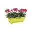 Elho Barcelona Allin1 50 - Planter - Lime Green - Outdoor & Balcony - L 50 x W 28.6 x H 21.4 cm