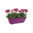 elho 5011805023500 50cm Barcelona Allin1 Planter, 19.68'', Cherry