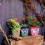 Hum Flowerpots, 15cm, 3er-Set, in Verschiedenen Farben und Mustern, Blumentöpfe aus Kunststoff für Drinnen und Draußen, Mehrfarbig Blumenmuster