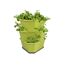 GUSTA GARDEN Paul Potato Starter Kartoffelturm - stapelbar - Hochbeet/Pflanzgefäß/Blumentopf für Balkon, Garten und Terrasse (3 Etagen, Grün) inkl. Untersetzer