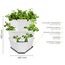 GUSTA GARDEN Paul Potato Starter Kartoffelturm - stapelbar - Hochbeet/Pflanzgefäß/Blumentopf für Balkon, Garten und Terrasse (3 Etagen, Weiß) inkl. Untersetzer