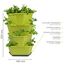 GUSTA GARDEN Paul Potato Starter Kartoffelturm - stapelbar - Hochbeet/Pflanzgefäß/Blumentopf für Balkon, Garten und Terrasse (4 Etagen, Grün) inkl. Untersetzer