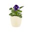Elho Brussels Rund Mini 10,5 - Blumentopf - Elfenbein - Drinnen - Ø 11 x H 9.7 cm