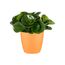Elho Brussels Rund Mini 12,5 - Blumentopf - Sunrise Orange - Drinnen - Ø 13 x H 11.4 cm