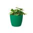 Elho Brussels Rund Mini 10,5 - Blumentopf - Lucky Green - Drinnen - Ø 11 x H 9.7 cm