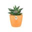 Elho Brussels Rund Mini 9,5 - Blumentopf - Sunrise Orange - Drinnen - Ø 10.2 x H 8.7 cm