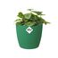 Elho Brussels Rund Mini 10,5 - Blumentopf - Lucky Green - Drinnen - Ø 11 x H 9.7 cm