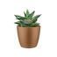 Elho Brussels Rund Mini 9,5 - Blumentopf - Samt Gold - Drinnen - Ø 10.2 x H 8.7 cm