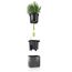 LECHUZA Cube Glossy Green Wall Home Kit anthrazit highgloss 13524