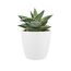 elho brussels rund mini 9,5cm Blumentopf - warmes grau