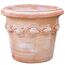 Teramico Blumentopf Pflanzgefäß Übertopf Terracotta FROSTFEST QUALITÄTSWARE Conca Limoni (30cm)
