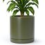 D'vine Dev 25,4 cm Keramik-Pflanztopf mit Ablaufloch und Untersetzer, Zylinder, runder Pflanztopf für den Innenbereich, Olivgrün, 94-O-E-J