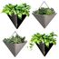 LáLáGreen Wand-Pflanzgefäße – 4 Stück, 30,5 cm, groß, selbstbewässernd, schwarz und grau, gemischte Farben, geometrisch, vertikal, Garten, Wandbehang, Blumenvase, Gefäß mit schwarzem Metallaufhänger,