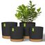 ZMTECH Selbstbewässernde Blumentöpfe aus Kunststoff, mit Drainagelöchern und Untersetzern, dekorativ, modern, für Innen- und Außenbereich, Haus, Garten, 16,5 cm und 20 cm, 4 Stück