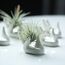 Dahey Zondam Air Plant Pot Keramik Tillandsia-Halter Hand White