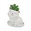 Gemseek Ceramic Dinosaur Succulent Planter Pot with Drainage Tray, White T-Rex Cactus/Flower Container, Animal Bonsai Holder for Indoor Plants