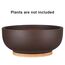 Thirtypot 25CM Terracotta Planter, Large Succulent Bonsai Planter Pot with Drainage Hole and Bamboo Saucer for Indoor Plants, Brown