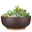 Thirtypot 25CM Terracotta Planter, Large Succulent Bonsai Planter Pot with Drainage Hole and Bamboo Saucer for Indoor Plants, Brown