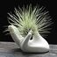 Dahey Zondam Air Plant Pot Keramik Tillandsia-Halter Hand White
