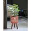 D'vine Dev 8" Indoor Planter Pot with Stand, Geometric Planter Pot for Plant, Small, Pottery Red Terracotta/White, 88-ST-8-S