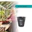 IPXEAD 50 Stück 5,1 cm Garten-Netz-Netzbecher, rund, strapazierfähig, für Hydrokultur-Schlitze, 50 Stück