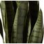 Nearly Natural, Green 4855 Sansevieria Pflanzgefäß, 88,9 cm, Schwarz