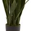 Nearly Natural, Green 4855 Sansevieria Pflanzgefäß, 88,9 cm, Schwarz
