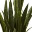 Nearly Natural, Green 4855 Sansevieria Pflanzgefäß, 88,9 cm, Schwarz