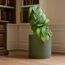 D'vine Dev 30,5 cm Kunststoff-Pflanztöpfe für Blumentopf mit Drainageloch und nahtlosen Untersetzern, Olivgrün, 74-X-I-3