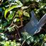 Radius Garden 22311 Root Slayer Nomad Wurzel-Spaten, rot