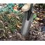 VERTO Profiwerkzeug für mehrere Einsatzbereiche im Garten und BAU - Spatenschaufel Schippe mit ergonomischem Holzstiel Gartenwerkzeuge Handwerkzeuge