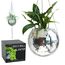 SCANDINORDICA Discokugel blumentopf - Spiegelkugel hängende blumentöpfe, diskokugel Pflanzen, discokugel deko übertopf makramee, Geschenk Freundin | Disco Kugel pflanzentopf – 25 cm Silber