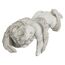 Design Toscano Schlafender Engel, Figur