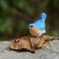 Top Collection Miniatur Feengarten und Terrarium Statue Bluebird auf Blatt mit Marienkäfer
