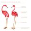 Bits and Pieces - 35 ½ Zoll hohe Metall Flamingo Gartenstatuen Hofdekorationen Outdoor Skulpturen Gartendeko Flamingo Yard Art 2er Set