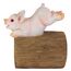 Design Toscano QM2868900 Regenfallrohrauslass Wildes Schweinchen