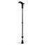 Rebotec Simplex Gehstock mit Fritzgriff Farbe anthrazit (MADE IN GERMANY)