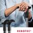 Rebotec Simplex Gehstock mit Fritzgriff Farbe anthrazit (MADE IN GERMANY)