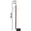 37" Premium Quality Rosewood Canes and Walking Sticks Brown & Golden, Solid Brass Dachshund Dog Head Handle - Wooden Stylish Walking Cane Fashion Statement - 12 Days of Deals