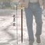 37" Premium Quality Rosewood Canes and Walking Sticks Brown & Golden, Solid Brass Dachshund Dog Head Handle - Wooden Stylish Walking Cane Fashion Statement - 12 Days of Deals