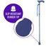 Switch Sticks - Gehstock