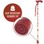 Switch Sticks - Gehstock
