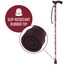 Switch Sticks - Gehstock