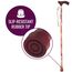 Switch Sticks - Gehstock