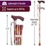 Switch Sticks - Gehstock