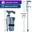 Switch Sticks - Gehstock