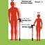 Flexyfoot Shock Absorbing Derby Handle Folding Walking Stick - Red - Improves Safety, Improves Grip, Reduces Shocks & Jarring