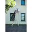 DRABEST Klapptritt Alu Leiter Klappbar Beidseitig 2x7 Stufen Trittleiter bis 150 kg Belastbar Haushaltsleiter